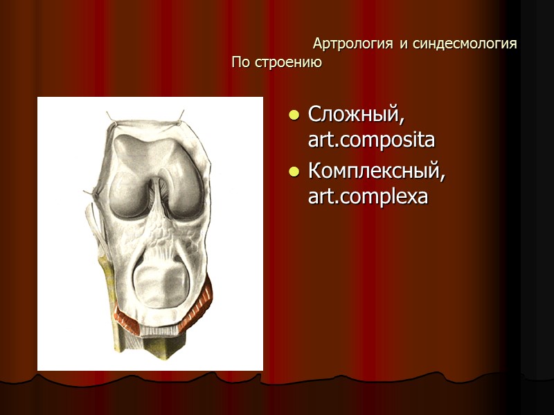 Артрология и синдесмология По строению Сложный, art.composita Комплексный, art.complexa